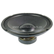 Loudspeaker YD300-01-8F126U 12 Inch Bass Speaker Drivers, China Speaker Manufacturer - ESUTECH